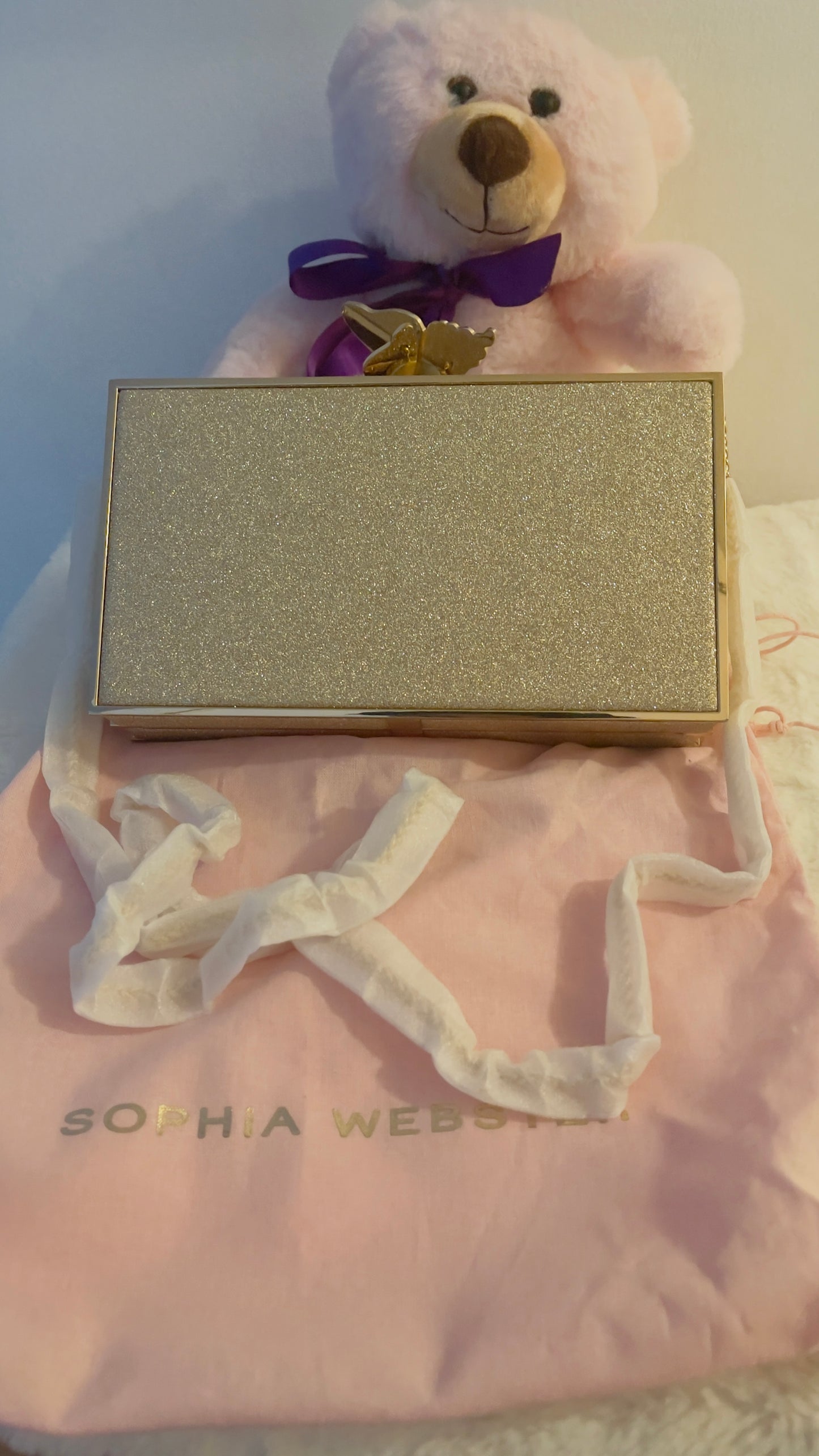 Preloved Sophia Webster Clutch